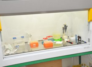 Bio 24 laboratory tools