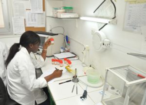Women laboratory expert from Bio 24